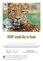 Adopt a Big Cat Certificate