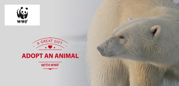 Adopt a Polar Bear