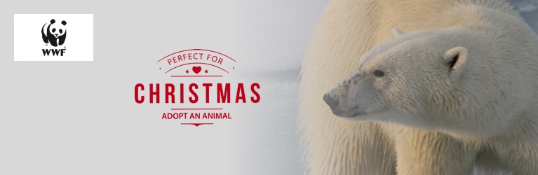 Adopt a Polar Bear