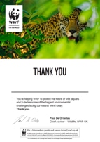 Adopt a Jaguar Certificate