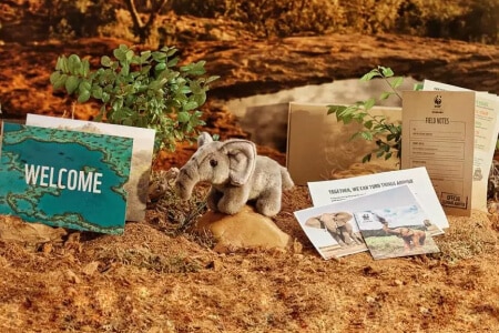 Adopt an Elephant Gift Pack