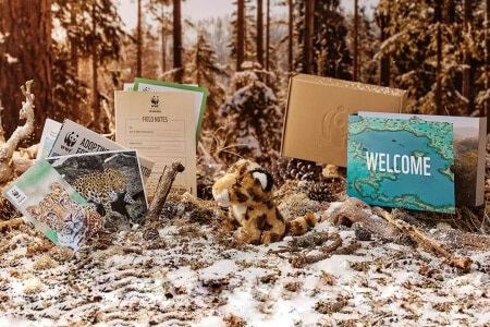 Adopt a Leopard Gift Pack