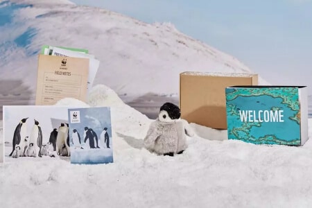 Adopt a Penguin Gift Pack